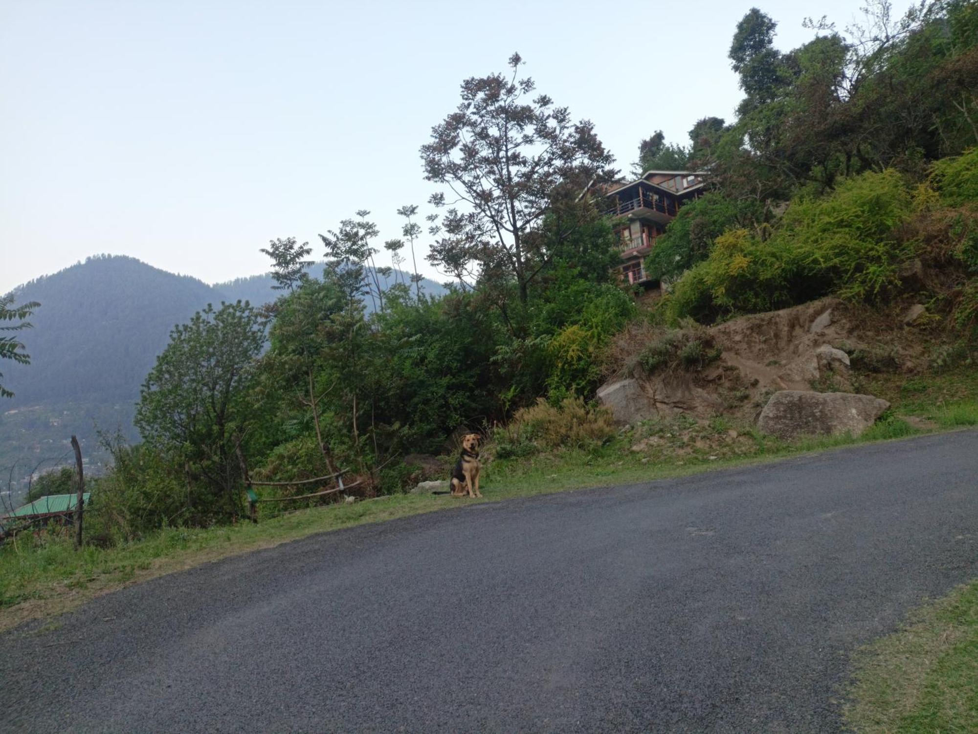 Tirthan Hilltop Home Stay Banjār Exteriör bild