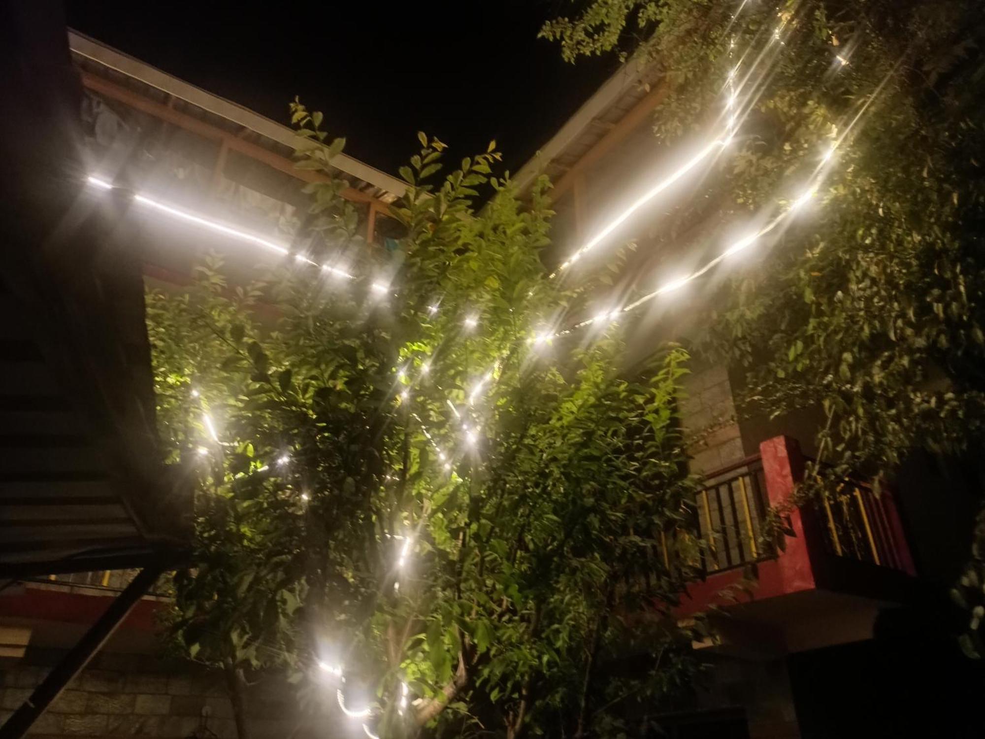 Tirthan Hilltop Home Stay Banjār Exteriör bild