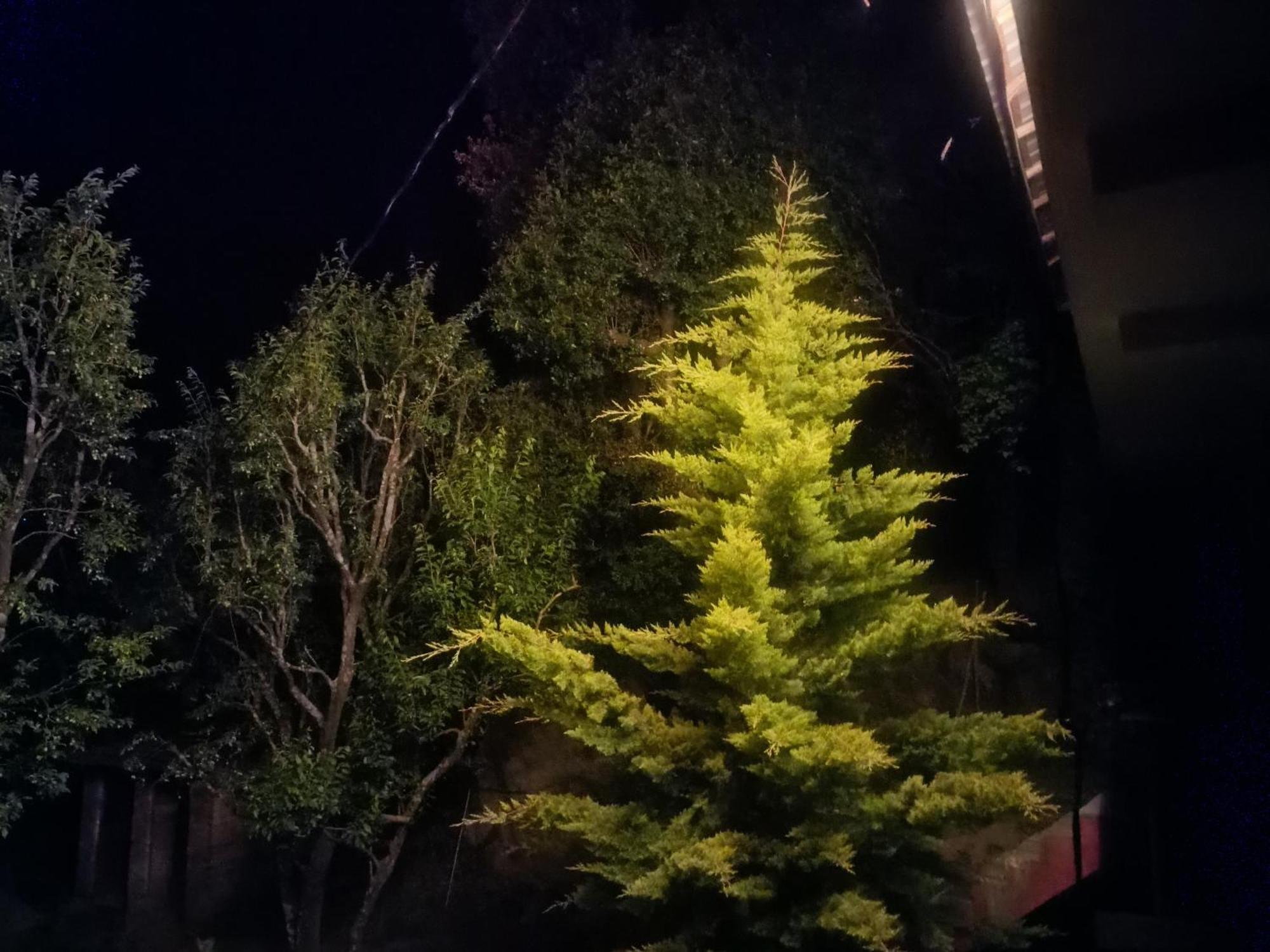 Tirthan Hilltop Home Stay Banjār Exteriör bild